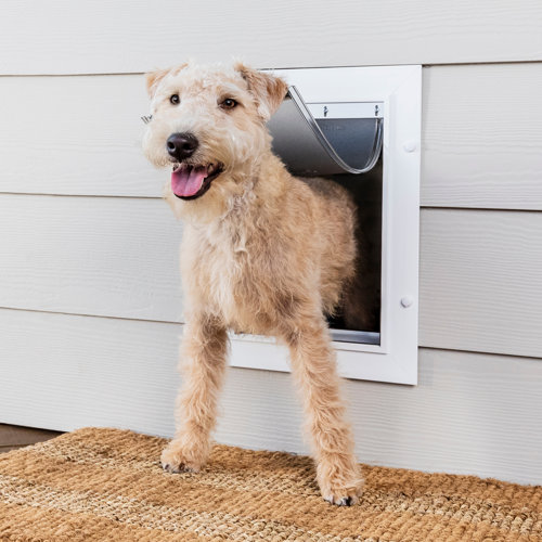PetSafe® Wall Entry Pet Door Medium & Reviews Wayfair